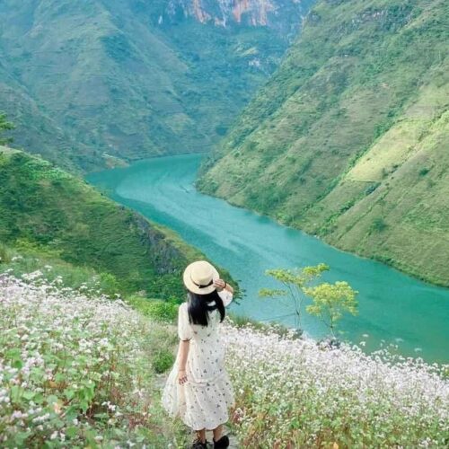 522642928 4249175755366059 7443192988958009909 N