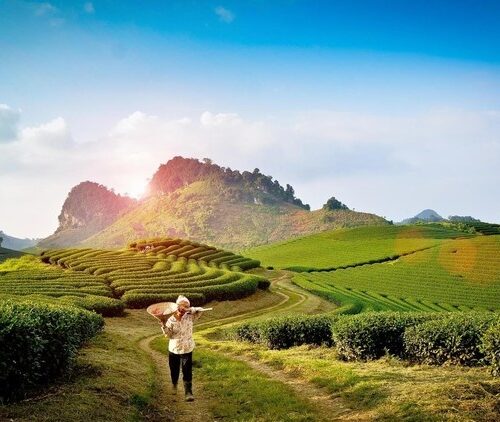 Tour Mộc Châu
