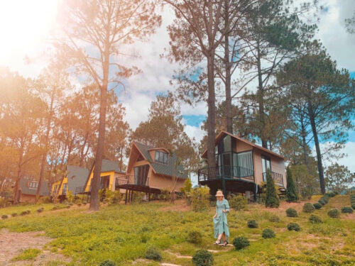 Kdl Rừng Thông Bản Áng