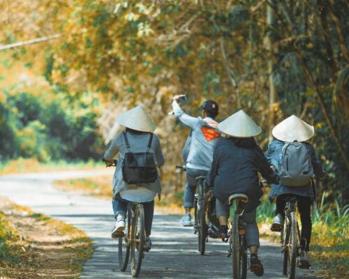 Tour Nam Cát Tiên